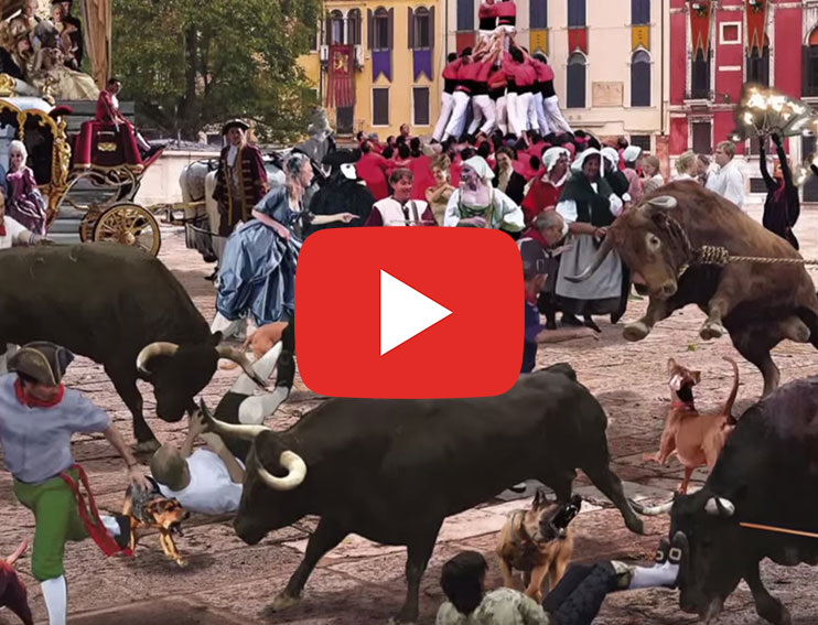 Reconstruction of an 18th Century Bull Hunt